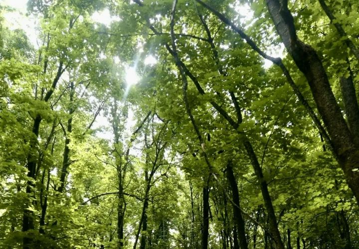 В Татарстане ожидается переменная облачность, кратковременные осадки и грозы