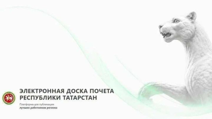 119 специалистов из Бавлинского района – на Электронной доске почёта Татарстана