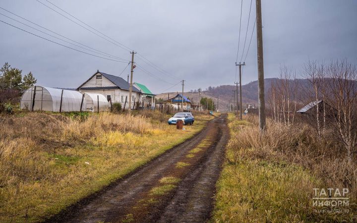 Осенний уход за садом: эксперт рассказал, какие работы нельзя откладывать