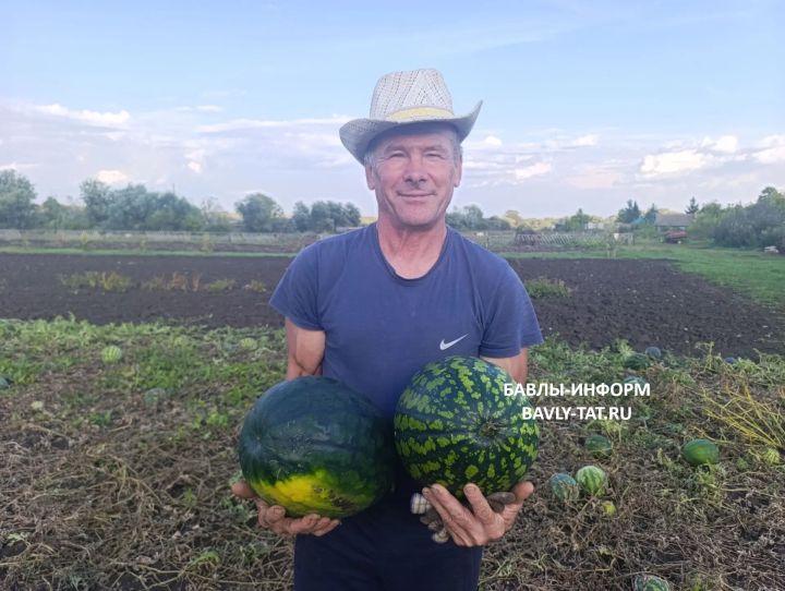 Житель Бавлинского района Марат Валитов делится секретами выращивания арбузов