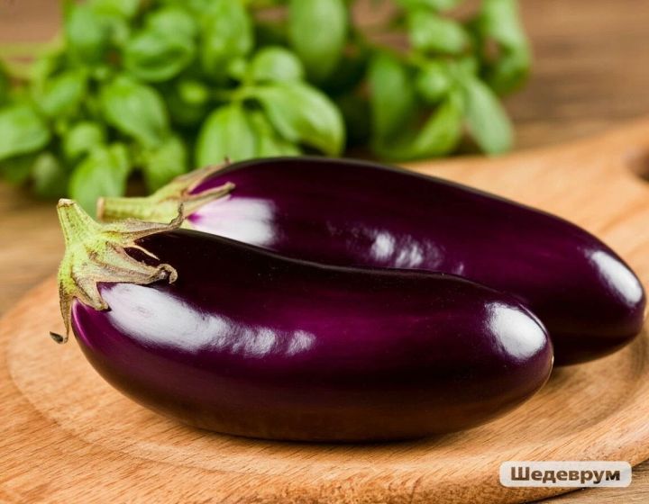 Баклажанны кемнәргә  ашарга ярамый?