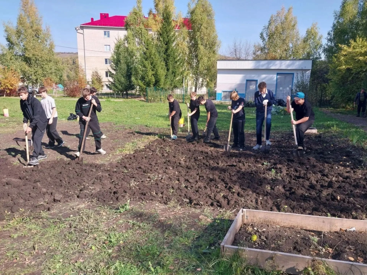 Школьники Бавлов собрали урожай на пришкольном участке