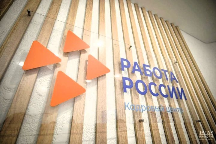 Свыше 20 тыс. жителей Татарстана обратились в кадровый центр за этот год