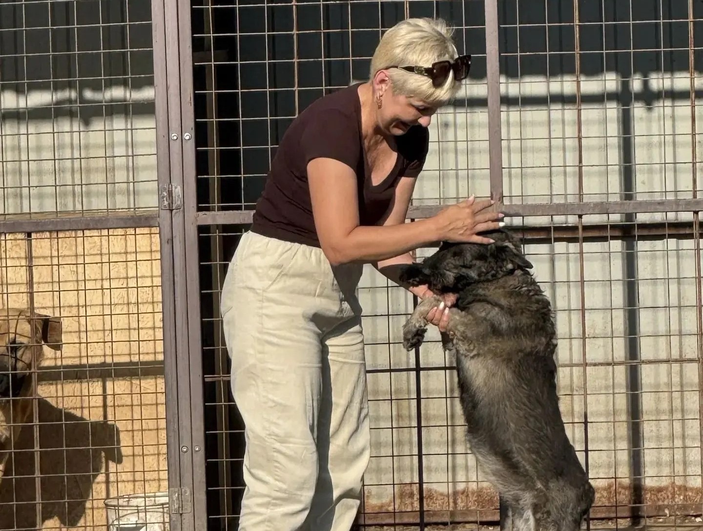 Оставшиеся после покупок средства коллектив больницы также передал приюту — эта поддержка поможет центру и дальше заботиться о своих подопечных./ Фото: Бавлинская ЦРБ