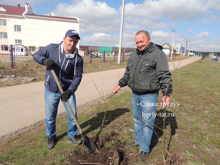 Бавлинцы посадили деревья