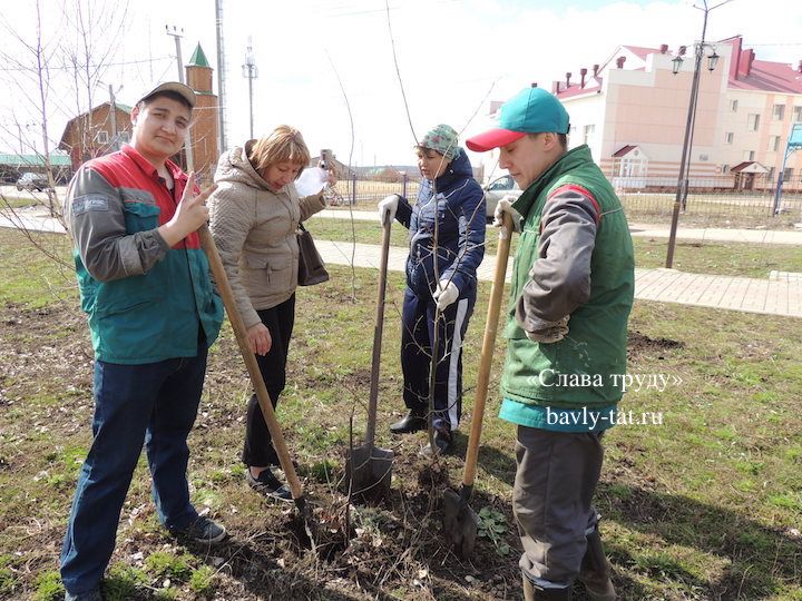 Бавлинцы посадили деревья