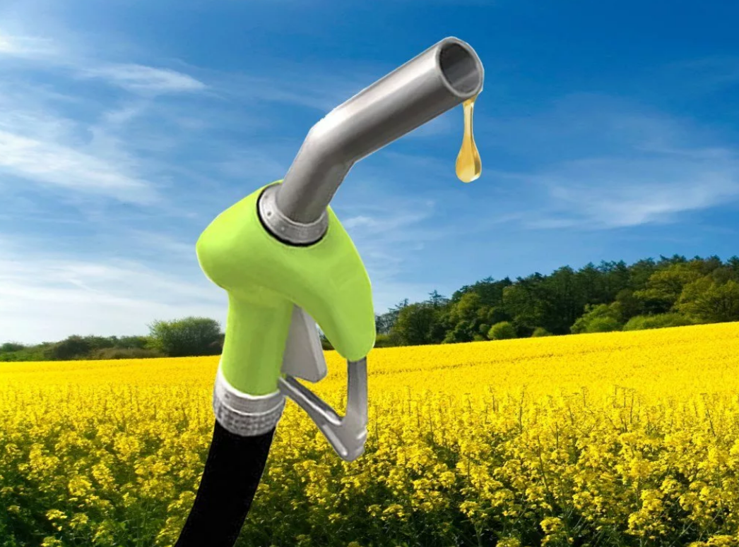 10 августа - Международный день биодизельного топлива