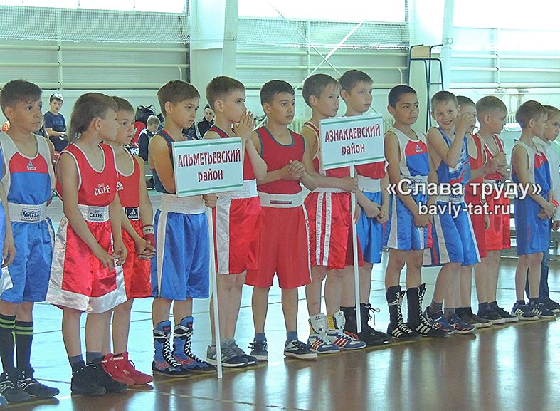 В Бавлах проходят соревнования по боксу памяти И.Чернова