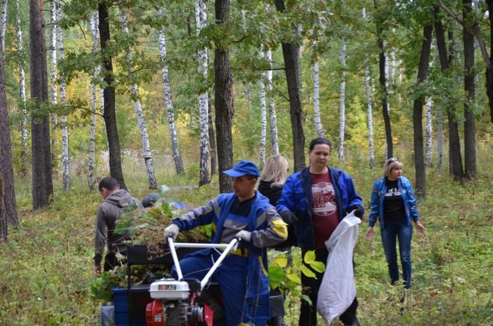 Бавлинцы сплотились и сделали