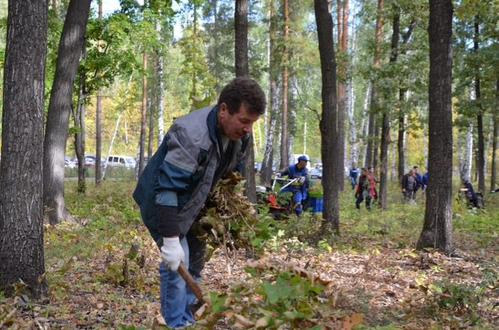 Бавлинцы сплотились и сделали