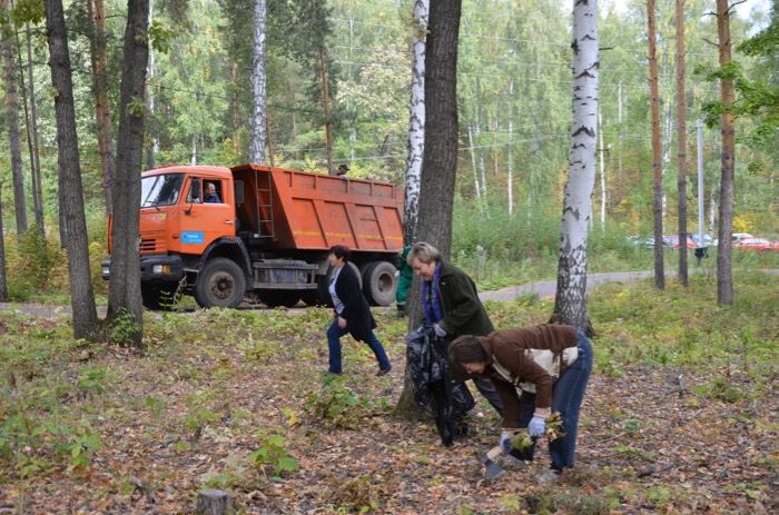 Бавлинцы сплотились и сделали