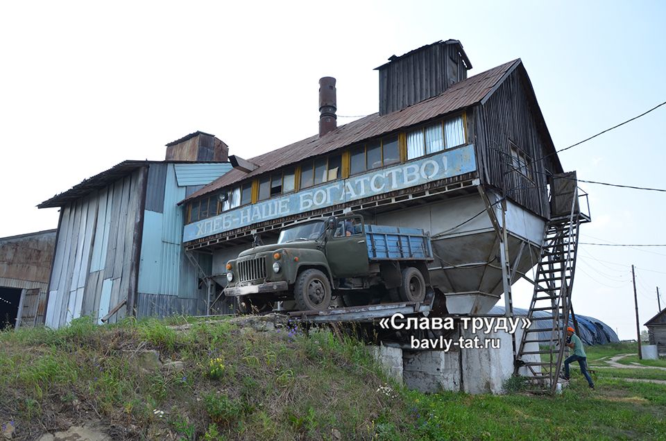 В Бавлинском районе уборка зерновых набирает обороты