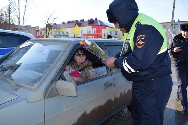 Бавлинских автоледи остановили сотрудники ГИБДД (видео)