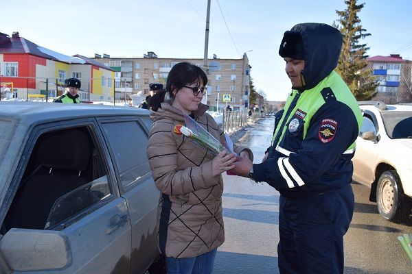 Бавлинских автоледи остановили сотрудники ГИБДД (видео)