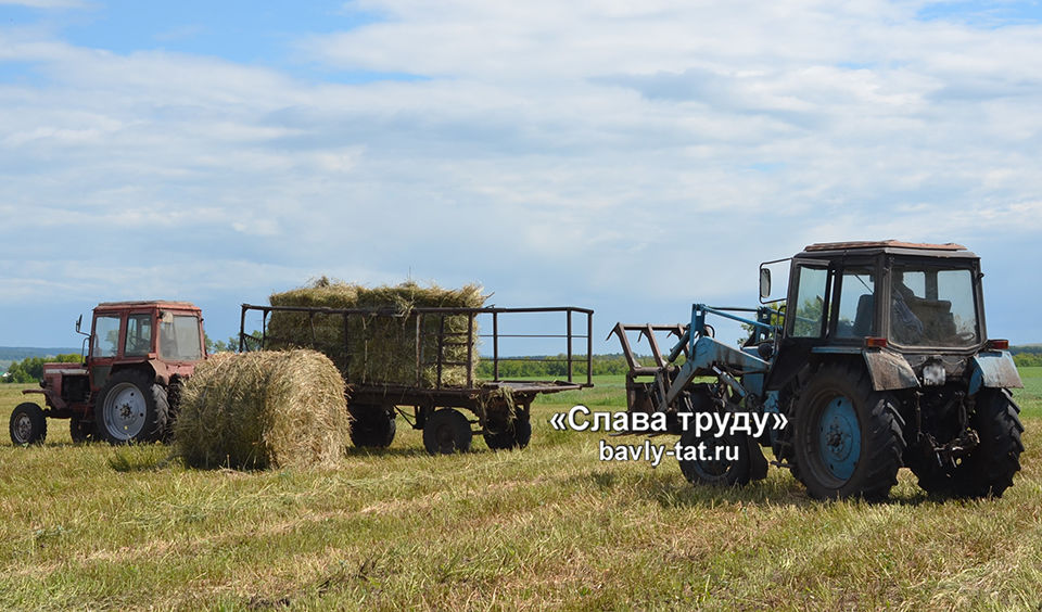 В Бавлинских хозяйствах горячая пора сенокоса