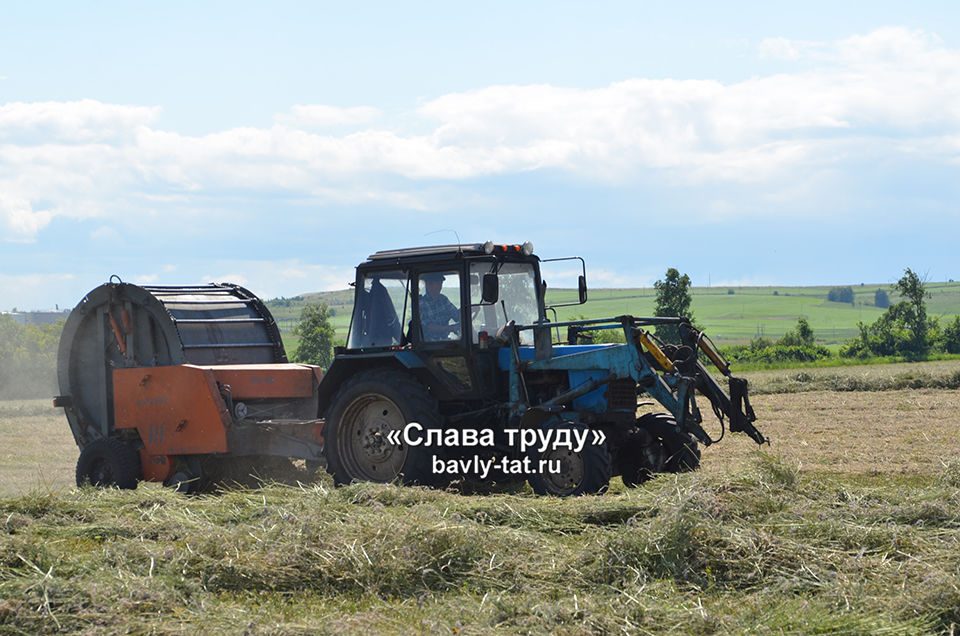 В Бавлинских хозяйствах горячая пора сенокоса