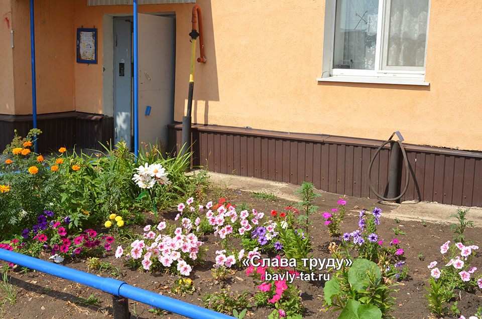 В Бавлах жители выращивают цветы во дворах домов