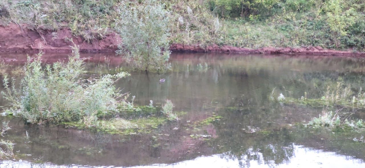 В Бавлинском селе жители обустроили своими силами водоем