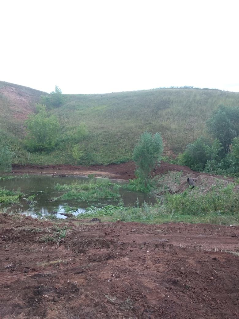 В Бавлинском селе жители обустроили своими силами водоем