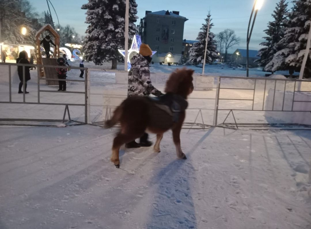 В Бавлах зажгли главную ёлку района