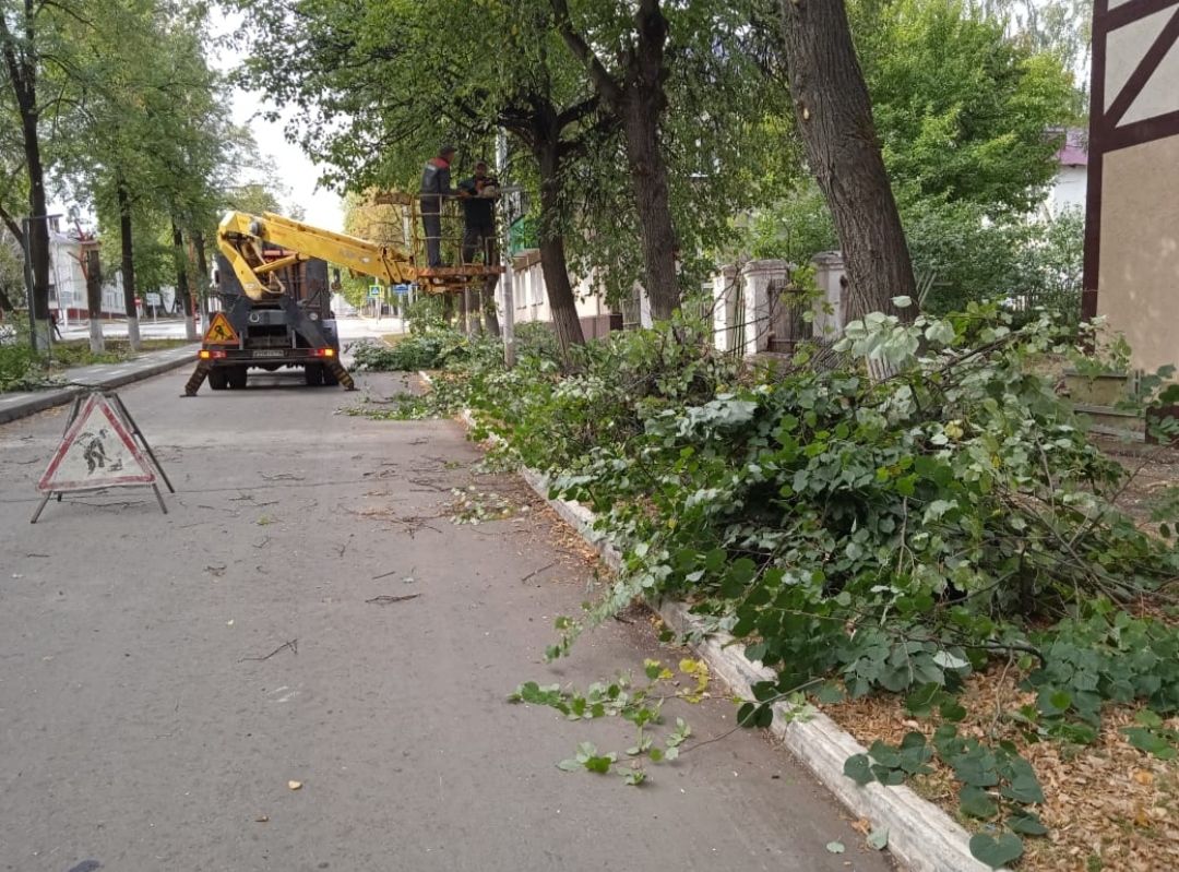 В Бавлах проводится осеннее окультуривание деревьев