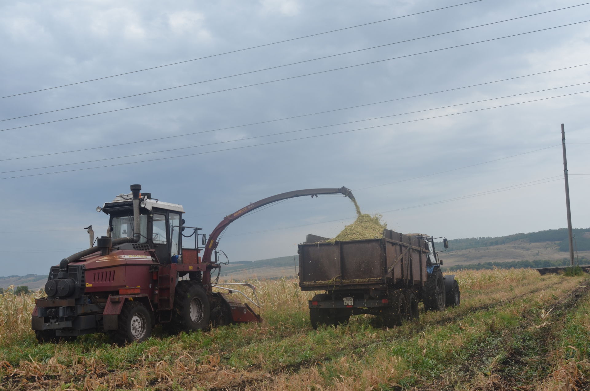 Аграрии Бавлинского района сеют и заготавливают корма