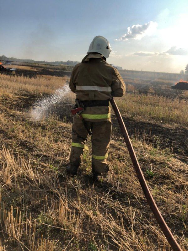 В Бавлах в этом году в двух хозяйствах произошли возгорания пожнивных остатков