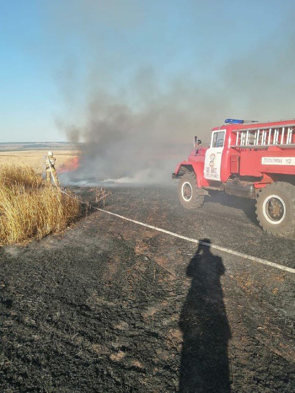 В Бавлах в этом году в двух хозяйствах произошли возгорания пожнивных остатков