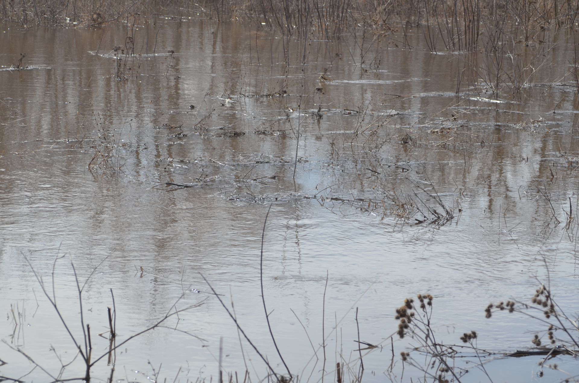 Убинцы не ждут большой воды