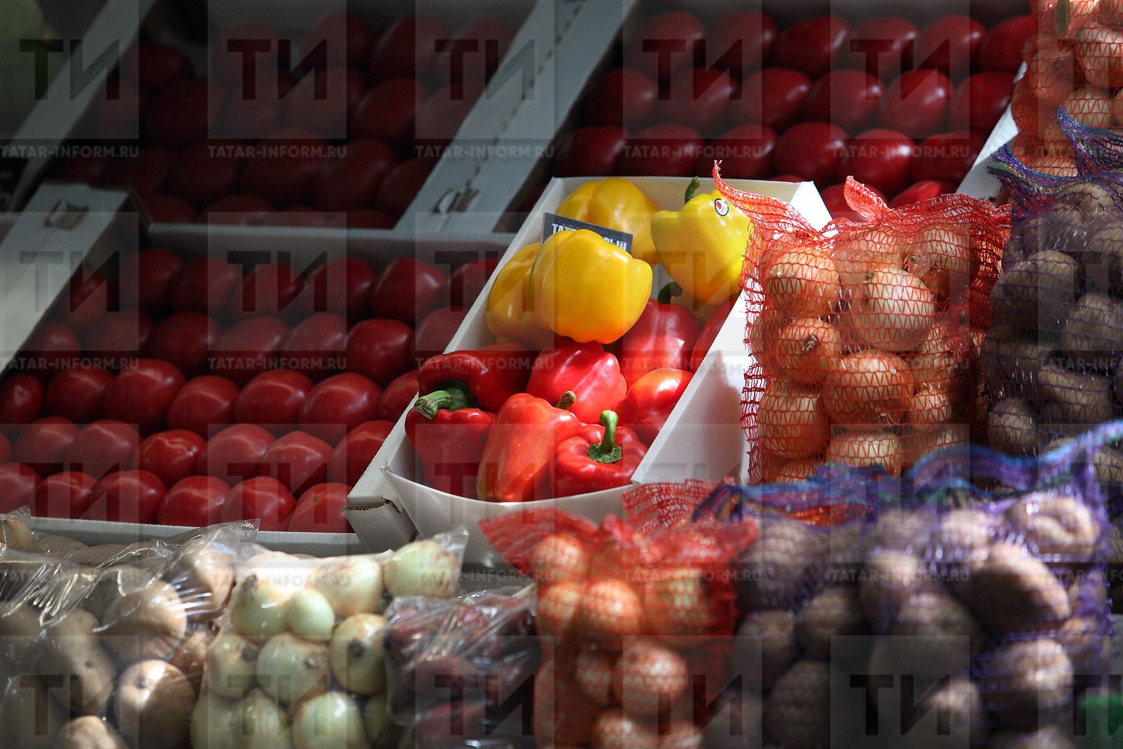 Помидор белән бәрәңге һәм яман шеш арасында нинди бәйлелек бар?