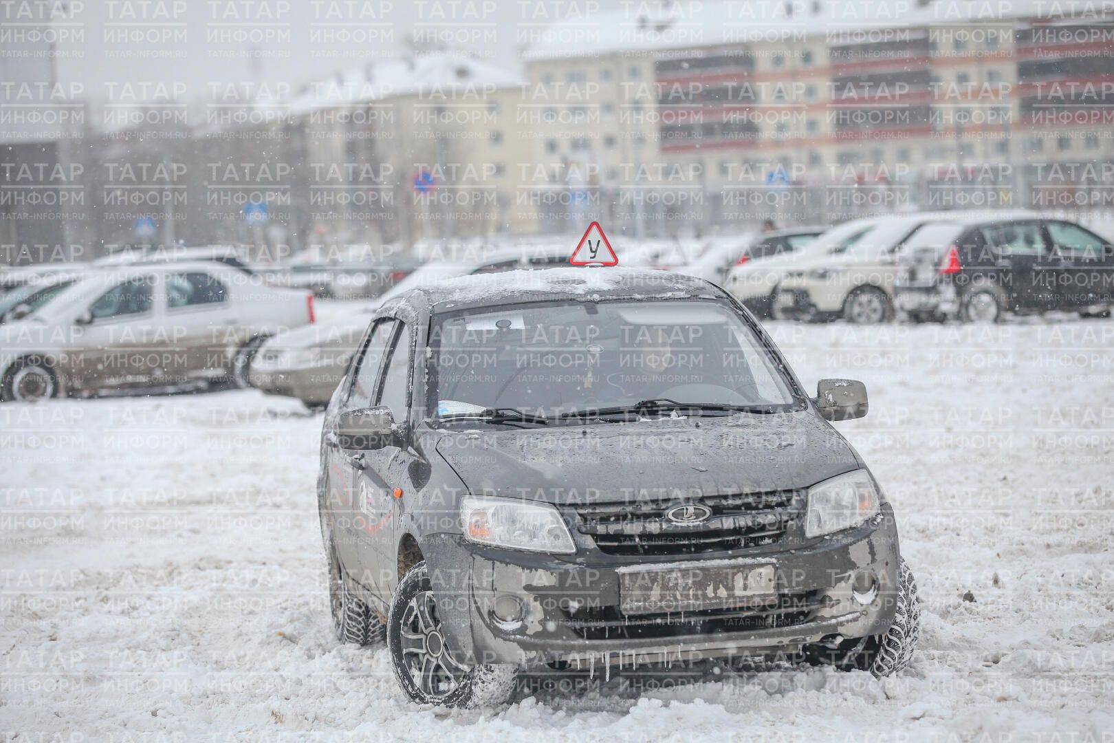 Автоэксперт Попов призвал при выборе автошколы не читать отзывы бывших учеников