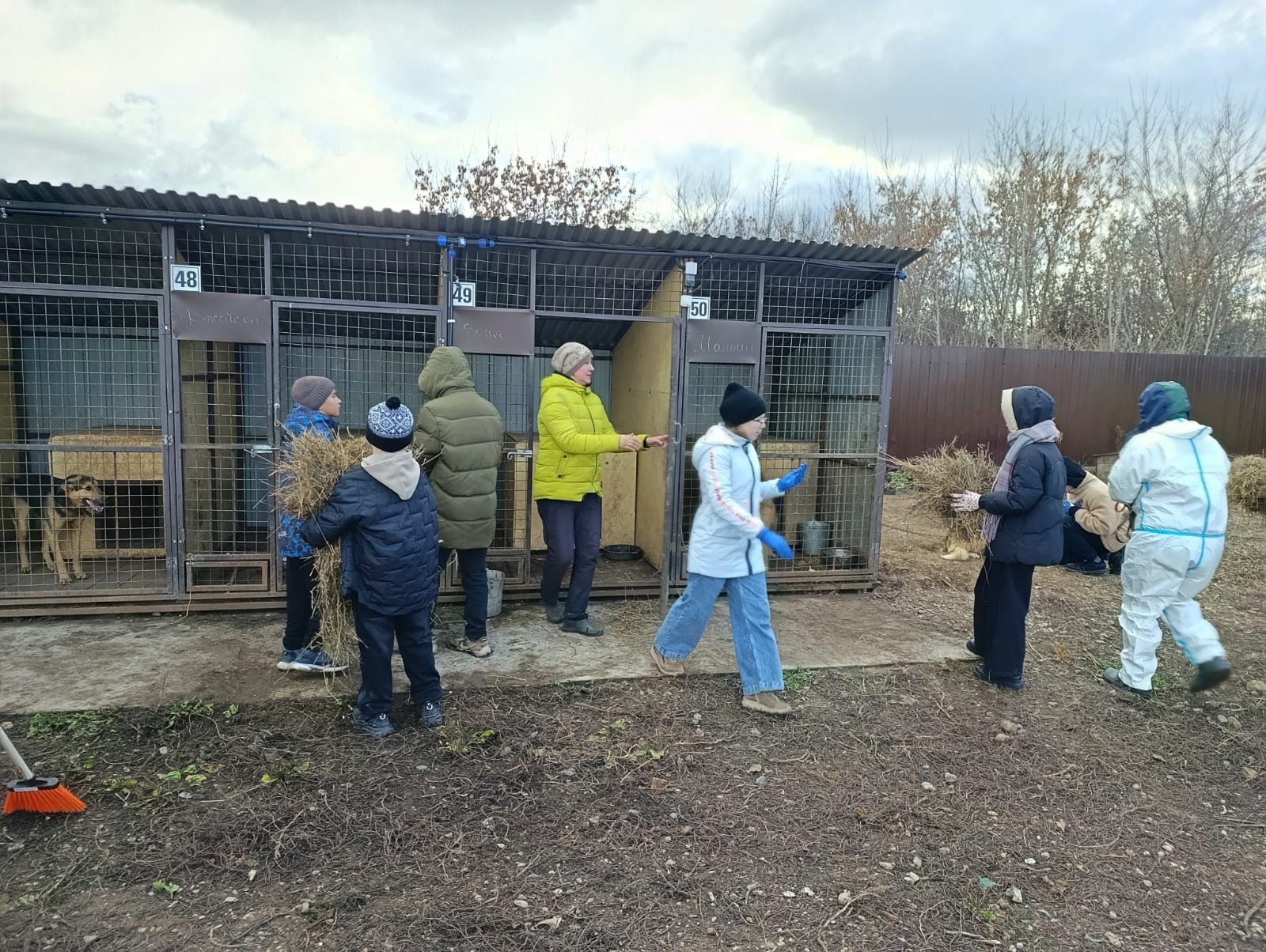 Бавлинцы помогли центру защиты бездомных животных