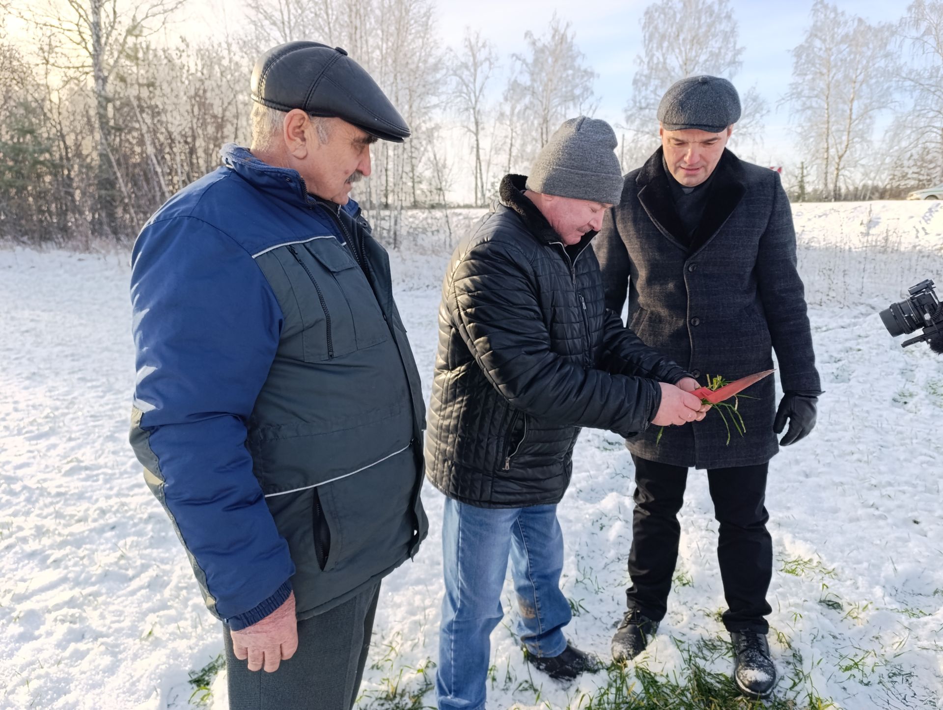 Районда чәчүлекләрнең торышын күзәтттеләр