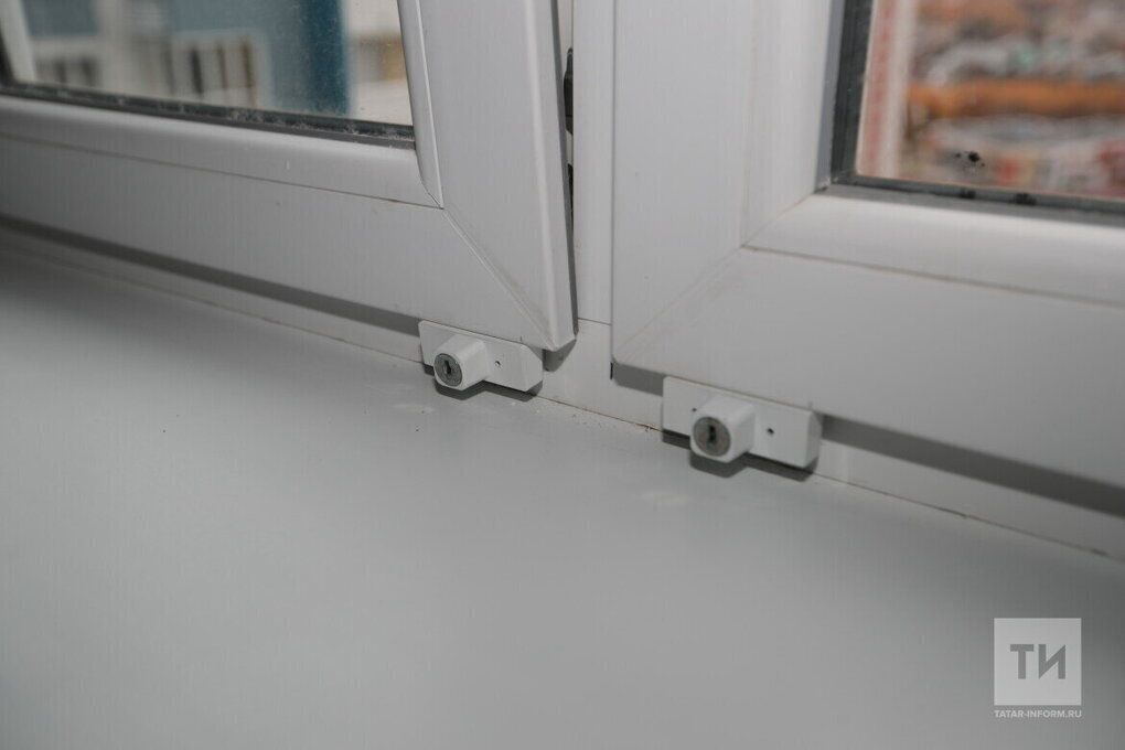 Өйне чиста тоту серләре