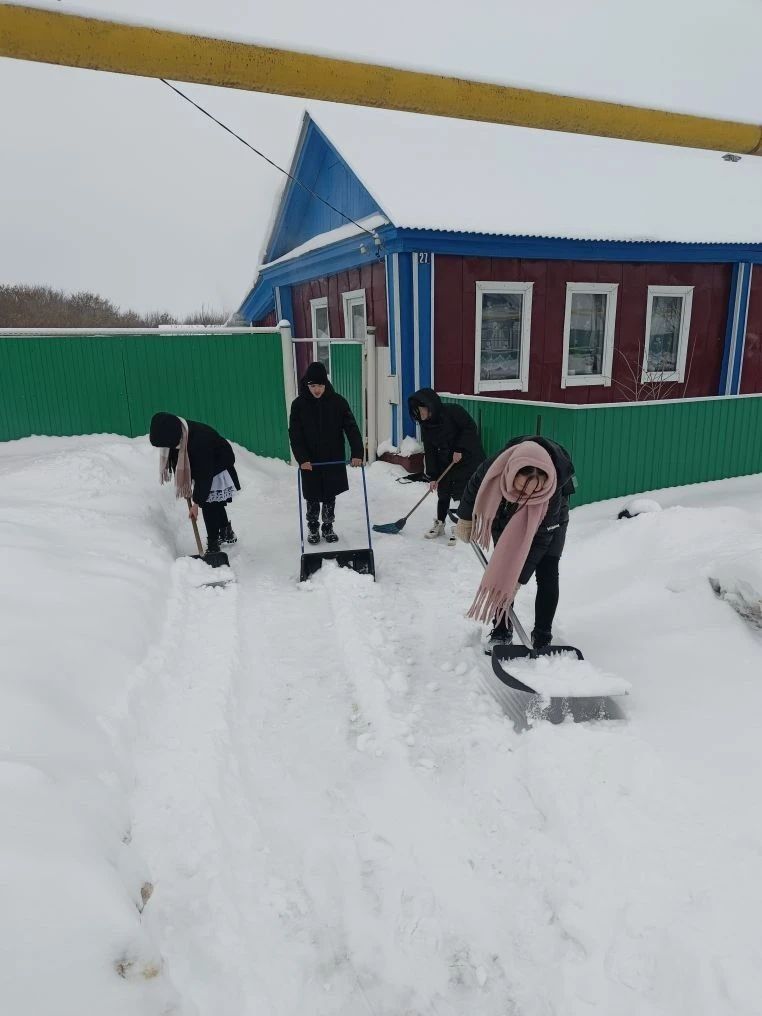 Татар Кандызы авылында ветераннарга ярдәм итәләр