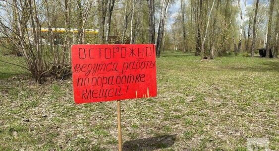 Талпан тешләсә – анализ тапшыр
