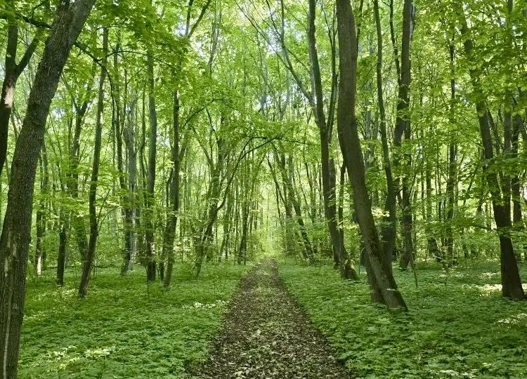 Переменная облачность и до +27 °С: прогноз погоды в Татарстане на 9 июня