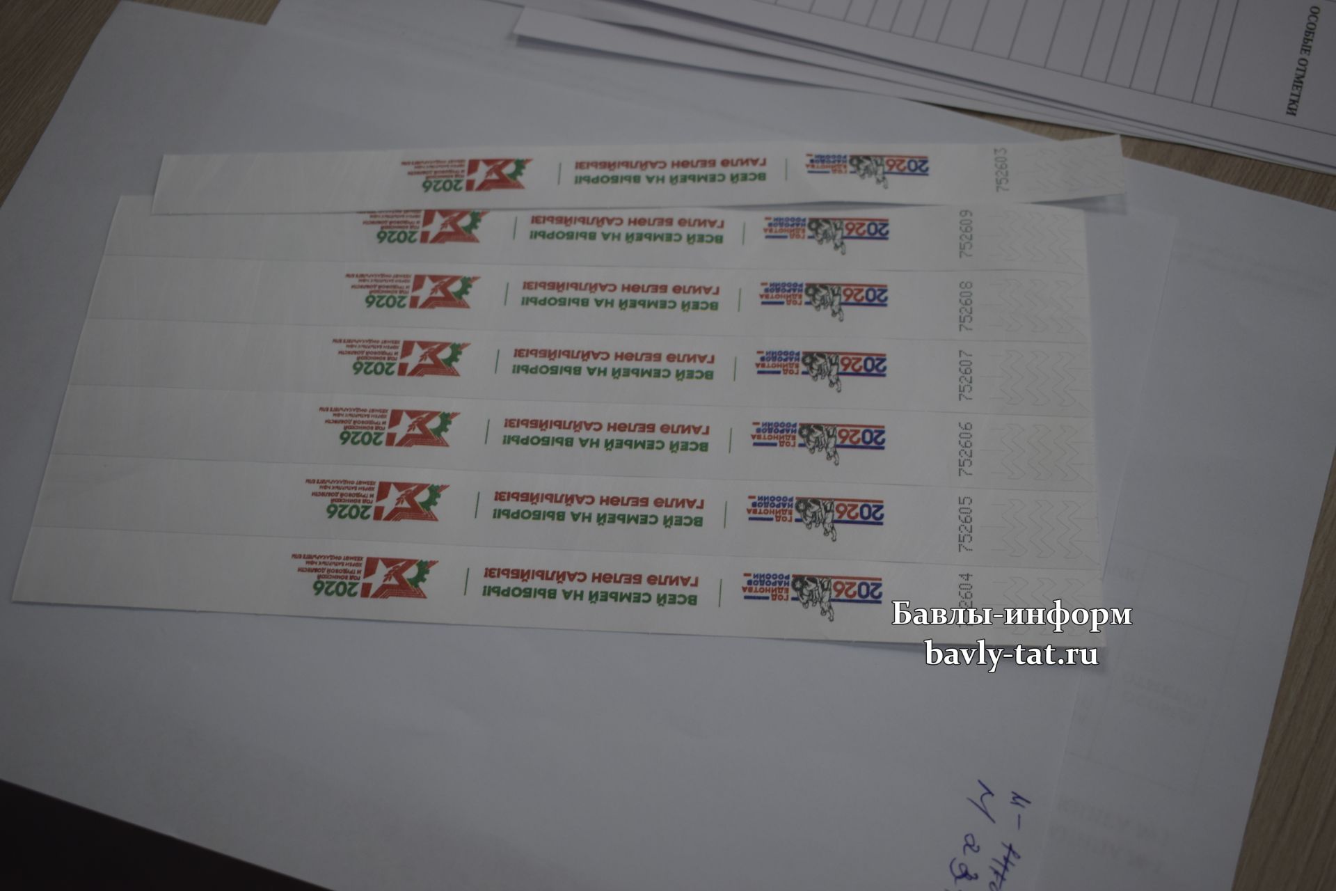 Баулы авылларында сайлаулар бара