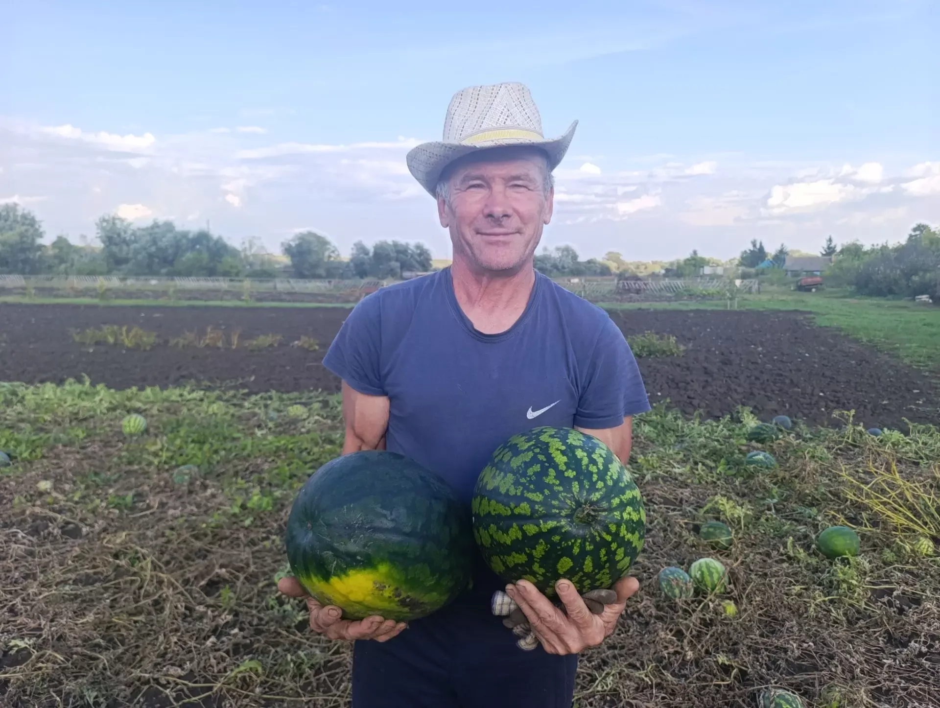 Баулы районында яшәүче Марат Вәлитов карбыз үстерергә ярата