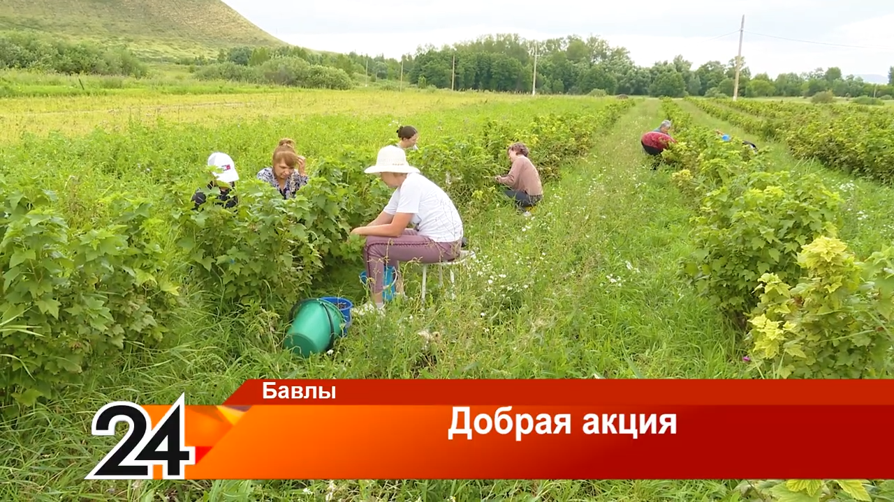 Индивидуальный предприниматель из Бавлов Ришат Юнусов организовал благотворительную акцию