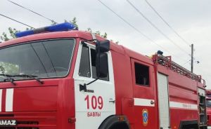 Бавлинцев предупреждают: Тополиный пух – источник пожарной опасности