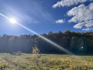 Переменная облачность ожидается в Татарстане в пятницу