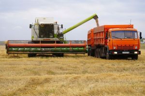 Свыше 600 студентов Татарстана трудятся в агропромышленном комплексе