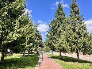 Сегодня бавлинцев ожидает прохладная и дождливая погода