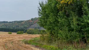 Сегодня ожидается дождливая и прохладная погода в Республике Татарстан