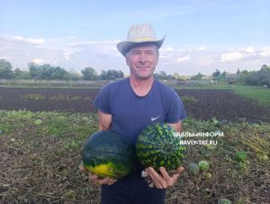 Житель Бавлинского района Марат Валитов делится секретами выращивания арбузов