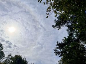 Дожди и усиление ветра ожидаются в Татарстане 6 сентября