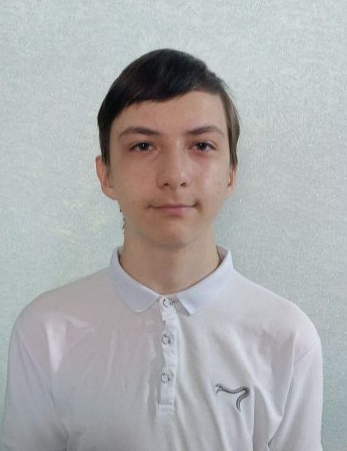 Бавлинский школьник победил в республиканском конкурсе