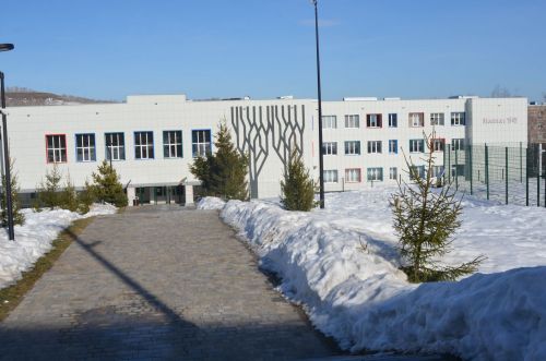 Бавлинские автоиспекторы вышли на профилактический рейд перед каникулами
