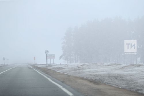 Туман и усиление ветра ожидаются в Бавлах